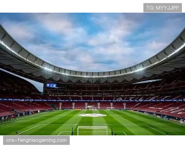 欧足联考察报告肯定里昂新球场设施,为申办大型决赛加分 欧足联考察报告肯定里昂新球场设施,为申办大型决赛加分